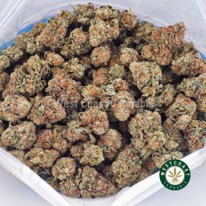 Buy Biscotti Cookies AA strain online