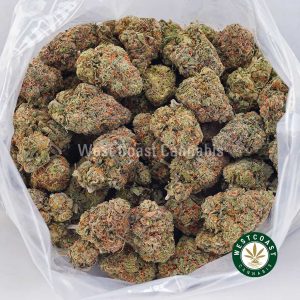 Buy Biscotti Pie AAA strain online