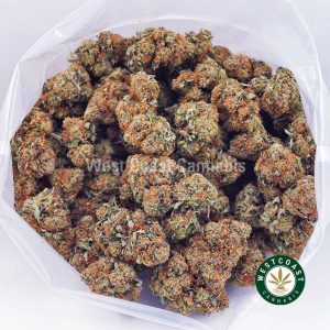 Buy Black Cherry Punch AAA strain online