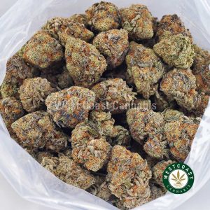 Buy Golden Goat AA strain online