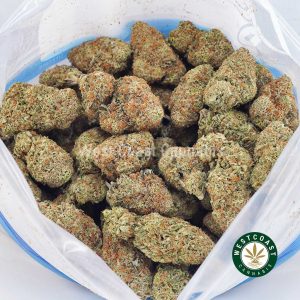 Buy King Tut AAA strain online