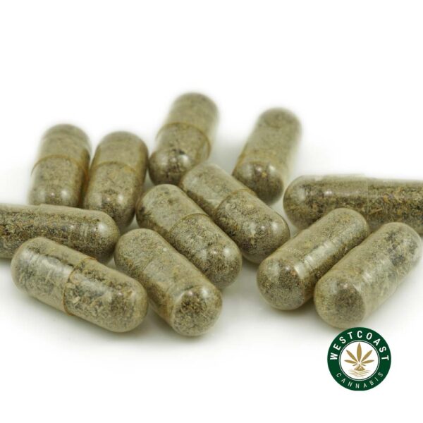 Buy Shrooms Microdosing Capsules Online