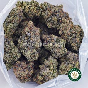 Buy OG Octane AAAA+ strain online