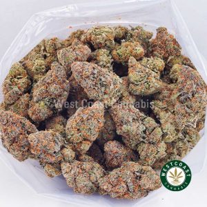 Buy Island Maui Kush AAA strain online