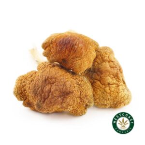 Buy Shrooms Golden Teacher Online