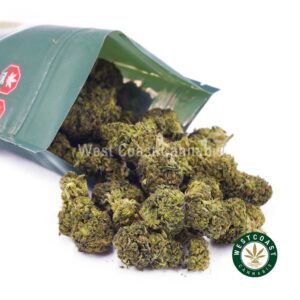 Buy Mystery AAA strain online