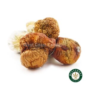 Buy Shrooms Cambodian Online