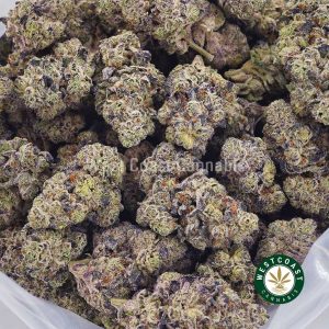 Buy Donkey Breath AAAA+ strain online