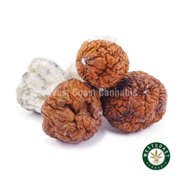 Buy Shrooms Blue Pulaski Online