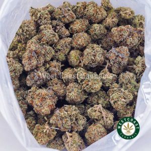 Buy Papaya Cake AAA strain online