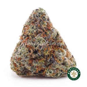 Buy King Kong AAAA strain online