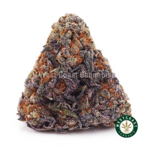 Buy Purple Gelato AAAA strain online