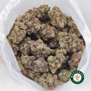 Buy Supreme Blueberry AAAA+ strain online