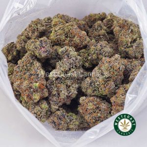 Buy Supreme Gas Mask AAAA+ strain online