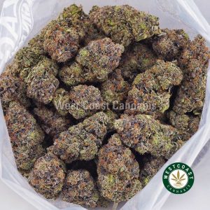 Buy Vintage Blueberry AAAA+ strain online