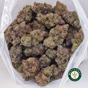 Buy Hawaiian Pink Punch AAAA+ strain online