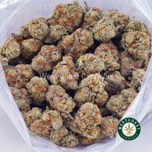 Buy Animal Cookies AA strain online