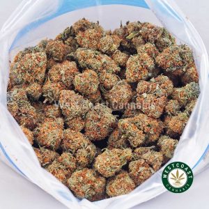 Buy Chocolope AAA strain online