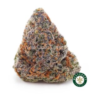 Buy Gouda Berry AAAA strain online