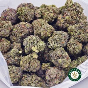 Buy Pink Ice Cream Cake AAAA+ strain online