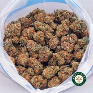 Buy White Rhino AAA strain online