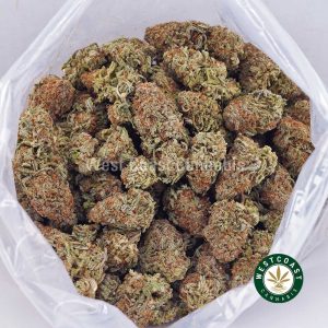 Buy Strawberry Gelato AAA strain online