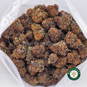 Buy Purple Crack AA strain online