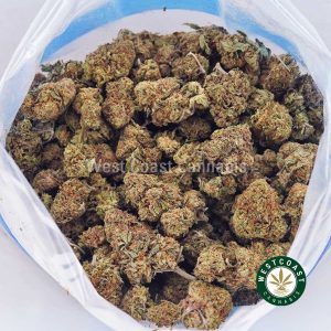 Buy Diesel Haze AA strain online