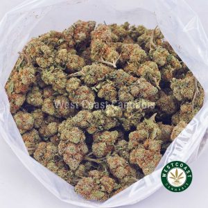 Buy Pineapple Cake AA strain online