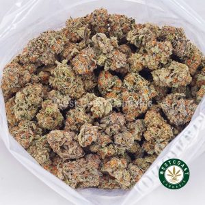 Buy White Biscotti AA strain online