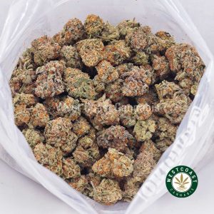 Buy Forum Cut Cookies AA strain online