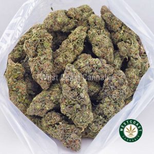 Buy Astroboy AAA strain online