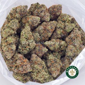 Buy Pink Gas Mask AAAA+ strain online