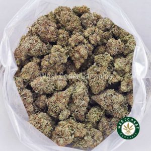 Buy Ghost OG AAA strain online