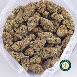 Buy Banana Cream AA strain online