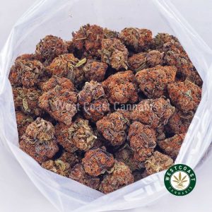 Buy Purple Kush AA strain online