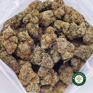 Buy Ice Cream Cake AAA strain online