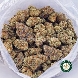 Buy White Tahoe Cookies AAA strain online