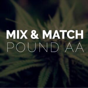 Buy Multi Pack Pound AA Strains 4 x Quarter Pound